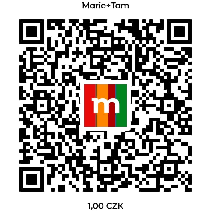 qr payment